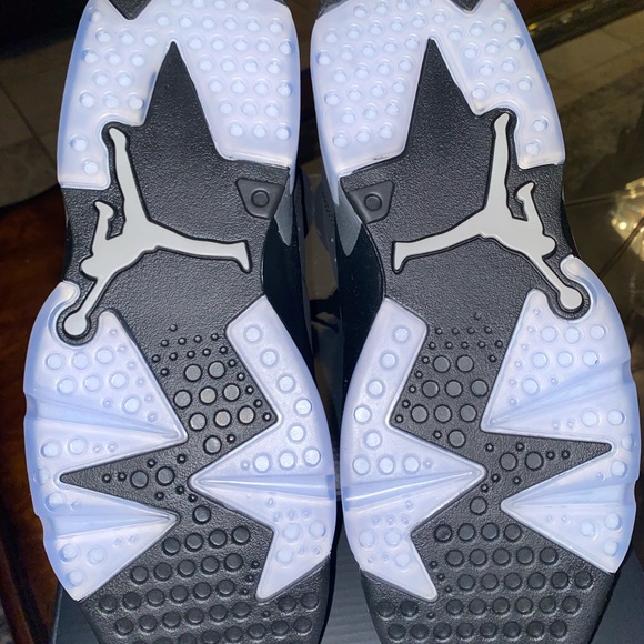 Jordan 6 Metallic Silver